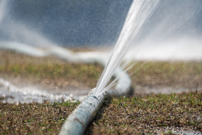 Lawn Sprinkler Inspection Service