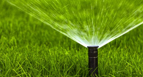 Landscape Sprinkler Inspection