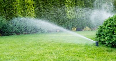 Lawn Sprinkler Inspection