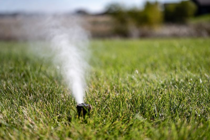 Lawn Sprinkler Inspection