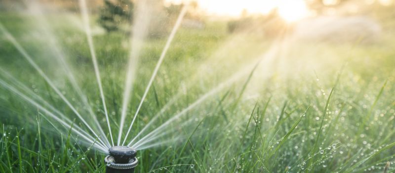 Lawn Sprinkler Inspection