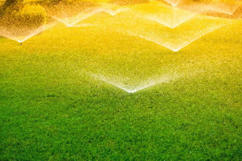 Sprinkler System Check